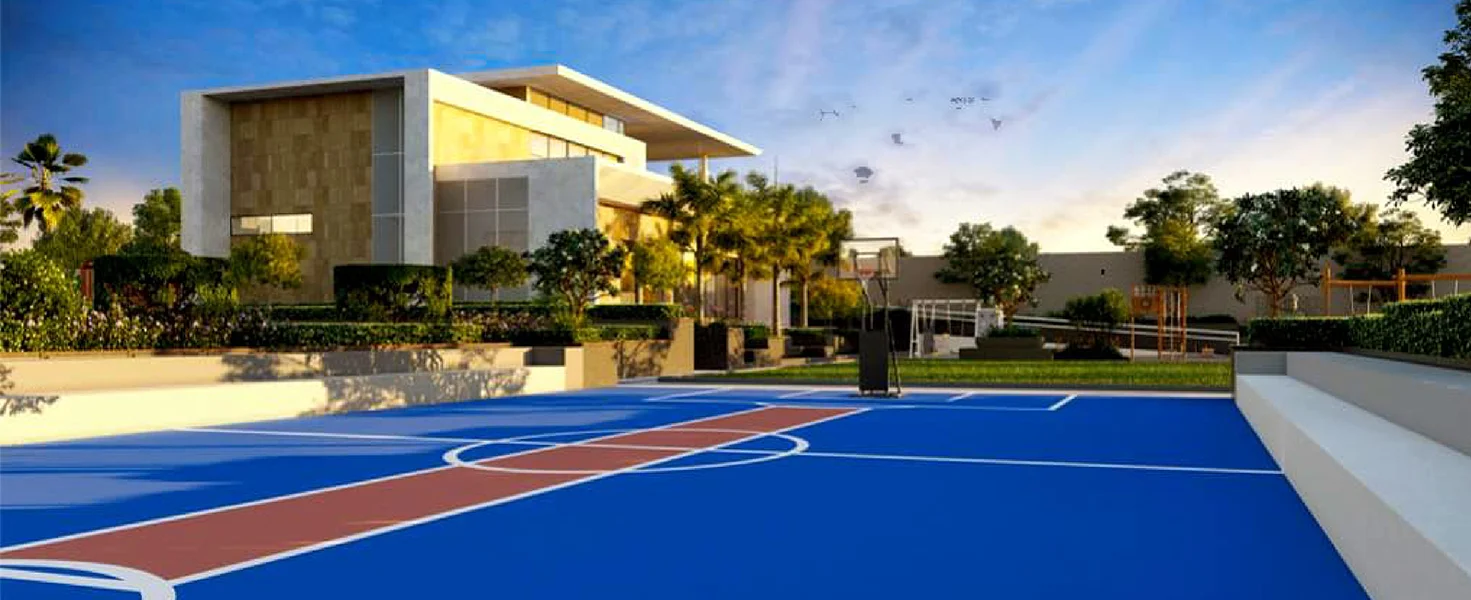 Saniket  The Rising Amenities